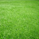 Rumput Sintetis : Kelebihan dan Tips Perawatan